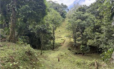 Se Vende Finca en Coclesito, La Pintada, Penonomé MLS23482