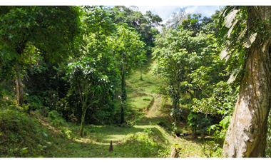 Se Vende Finca en Coclesito, La Pintada, Penonomé MLS23482