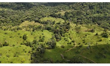 Se Vende Finca en Coclesito, La Pintada, Penonomé MLS23482