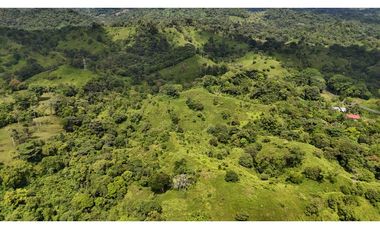 Se Vende Finca en Coclesito, La Pintada, Penonomé MLS23482