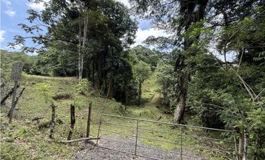 Se Vende Finca en Coclesito, La Pintada, Penonomé MLS23482