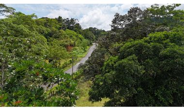 Se Vende Finca en Coclesito, La Pintada, Penonomé MLS23482