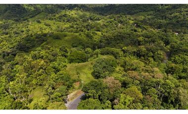 Se Vende Finca en Coclesito, La Pintada, Penonomé MLS23482