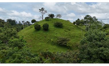 Se Vende Finca en Coclesito, La Pintada, Penonomé MLS23482