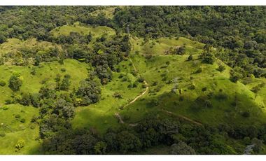 Se Vende Finca en Coclesito, La Pintada, Penonomé MLS23482