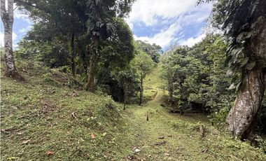 Se Vende Finca en Coclesito, La Pintada, Penonomé MLS23482