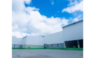 Alquiler de Bodega en Las Mañanitas de Tocumen SPP