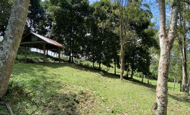 Di jual tanah kebun view sawah berdampingan dengan Villa