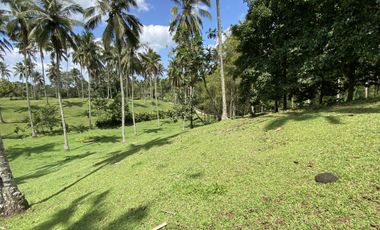 Di jual tanah kebun view sawah berdampingan dengan Villa