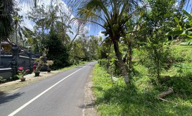Di jual tanah kebun view sawah berdampingan dengan Villa