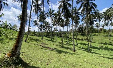 Di jual tanah kebun view sawah berdampingan dengan Villa