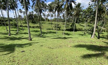 Di jual tanah kebun view sawah berdampingan dengan Villa