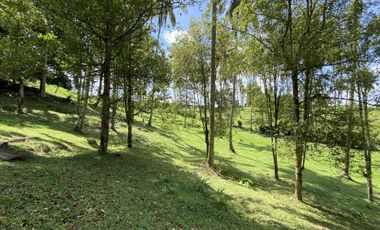 Di jual tanah kebun view sawah berdampingan dengan Villa