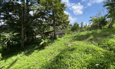 Di jual tanah kebun view sawah berdampingan dengan Villa