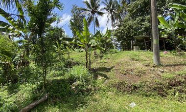 Di jual tanah kebun view sawah berdampingan dengan Villa