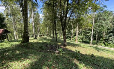 Di jual tanah kebun view sawah berdampingan dengan Villa