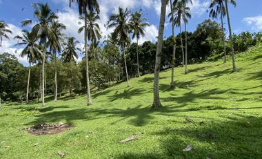 Di jual tanah kebun view sawah berdampingan dengan Villa