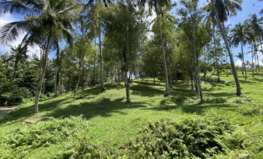 Di jual tanah kebun view sawah berdampingan dengan Villa