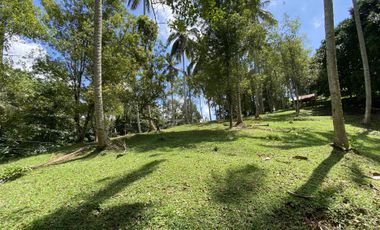 Di jual tanah kebun view sawah berdampingan dengan Villa