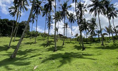 Di jual tanah kebun view sawah berdampingan dengan Villa