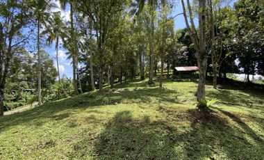 Di jual tanah kebun view sawah berdampingan dengan Villa