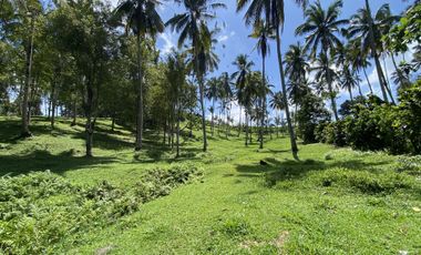 Di jual tanah kebun view sawah berdampingan dengan Villa