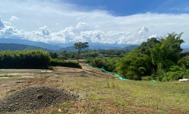 Lote Venta El Lembo Santa Rosa De Cabal