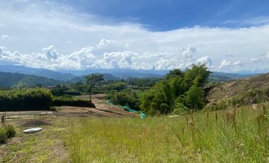 Lote Venta El Lembo Santa Rosa De Cabal