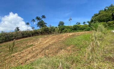 Lote Venta El Lembo Santa Rosa De Cabal