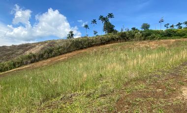 Lote Venta El Lembo Santa Rosa De Cabal