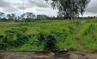 JUAL TANAH DEKAT BANDARA YIA KULONPROGO