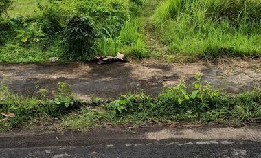 JUAL TANAH DEKAT BANDARA YIA KULONPROGO