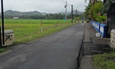 JUAL TANAH DEKAT BANDARA YIA KULONPROGO