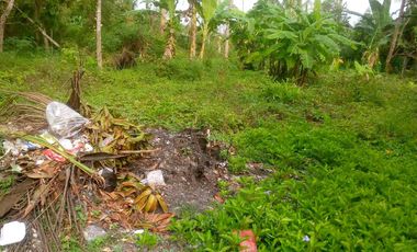 JUAL TANAH DI MARGOSARI PENGASIH KULONPROGO DI BAWAH NJOP