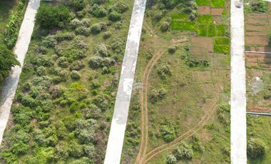 Tanah Taman Bunga Purworejo Sudah SHM Pekarangan; Dekat dengan Bandara