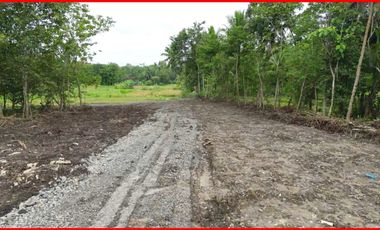 Salamrejo Sentolo, Jual Tanah Dekat RS. Queen Lathifa Untuk Hunian