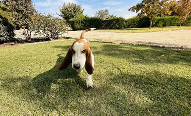 Casa en venta en PEÑAFLOR