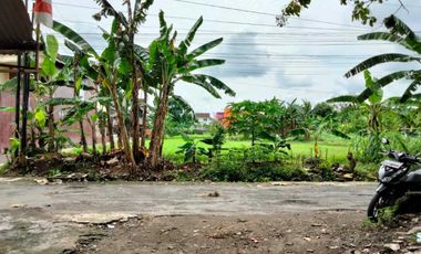 TANAH SAWAH MURAH STRATEGIS DI WONOCATUR BANGUNTAPAN BANTUL YOGYAKARTA