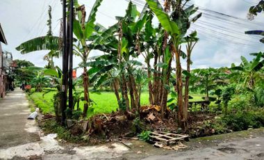 TANAH SAWAH MURAH STRATEGIS DI WONOCATUR BANGUNTAPAN BANTUL YOGYAKARTA