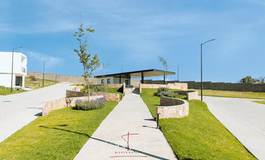 Venta de terreno en Fraccionamiento Sauco, Haras del Bosque