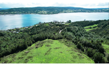A9416426- Venta Parcelas desde 5000Mts2 - Quellon - Chiloé