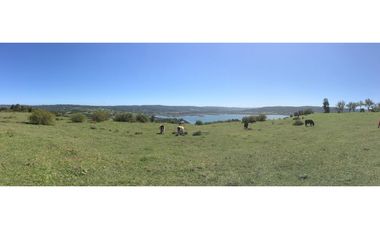 A9416426- Venta Parcelas desde 5000Mts2 - Quellon - Chiloé