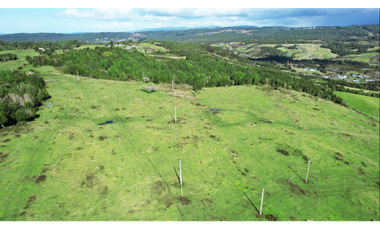 A9416426- Venta Parcelas desde 5000Mts2 - Quellon - Chiloé