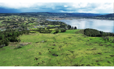 A9416426- Venta Parcelas desde 5000Mts2 - Quellon - Chiloé
