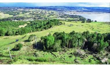 A9416426- Venta Parcelas desde 5000Mts2 - Quellon - Chiloé