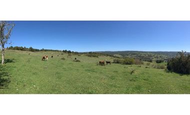 A9416426- Venta Parcelas desde 5000Mts2 - Quellon - Chiloé