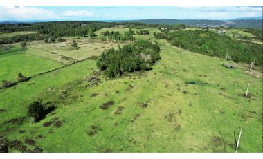 A9416426- Venta Parcelas desde 5000Mts2 - Quellon - Chiloé