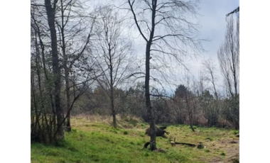 E9417732- Venta Parcela Curarrehue/ Las Peinetas-158,5H