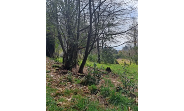 E9417732- Venta Parcela Curarrehue/ Las Peinetas-158,5H
