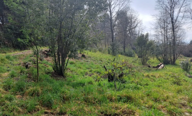 E9417732- Venta Parcela Curarrehue/ Las Peinetas-158,5H